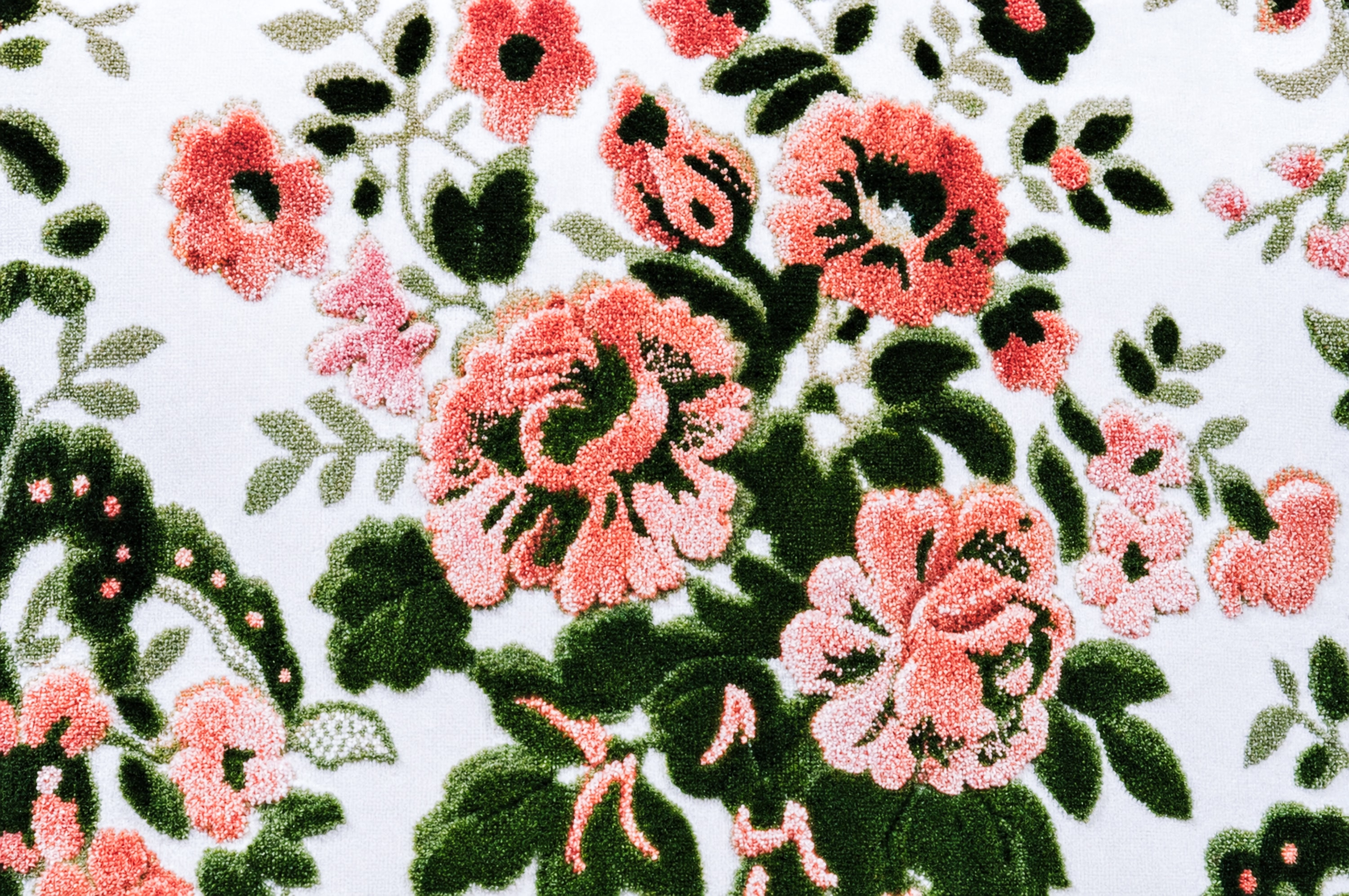 Gros plan d'un velours de Gênes à motif floral : roses et boutons rose corail, feuillage vert sombre en relief, sur fond blanc.